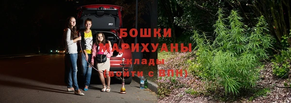 эйфоретик Белокуриха