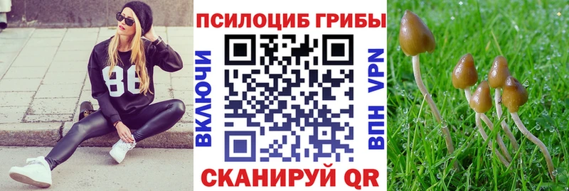магазин Воскресенск Псилоцибиновые грибы GOLDEN TEACHER